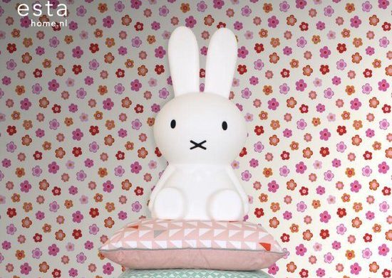 kleine meisjesbabykamer inrichten